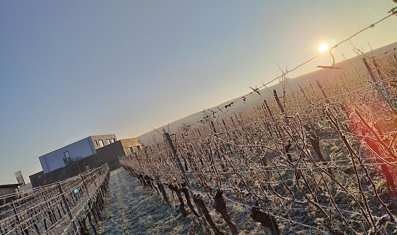 Weingut_Glaser_im_Winter.jpg