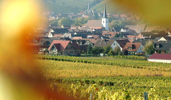 nordheim-divino-nordheim-eg.jpg