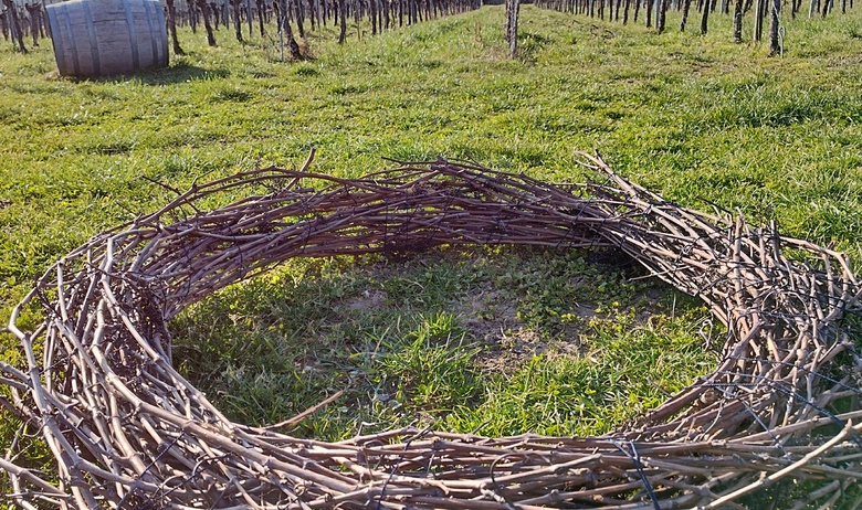 Rebkranzbinden_Weingut_Glaser.jpg